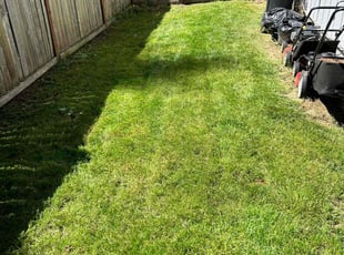 Ama S.'s Lawn Service service result