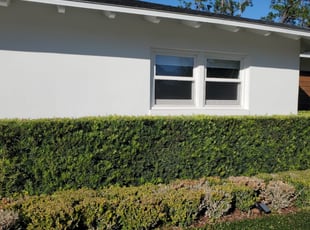 Bush Trimming by Carlos Arocho for Ki L. in Orlando, FL