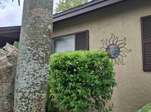 Bush Trimming by Sergio Beltran for Thomas A. in Bradenton, FL