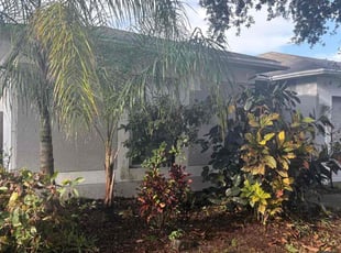 Bush Trimming by Joshua Kaiser for Wahana M. in Gibsonton, FL