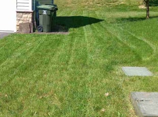 Jon M.'s Lawn Service service result