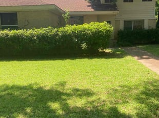 Melissa V.'s Lawn Care service result