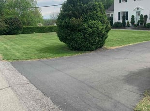 Robert M.'s Lawn Mowing service result