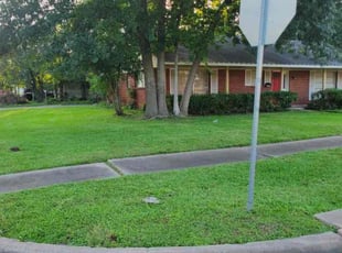 Annette S.'s Lawn Service service result