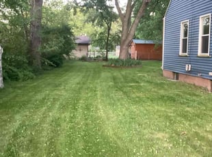 Ashley P.'s Lawn Service service result