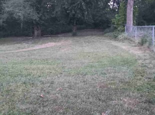 Bush Trimming by Kimberly Peacock for Chris Z. in Kirkwood, MO