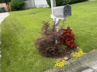 Roscoe T.'s Lawn Maintenance service result