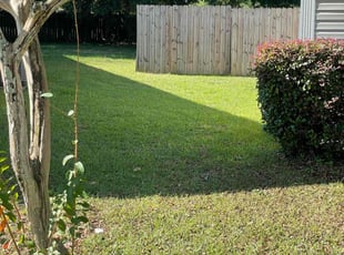 Savannah C.'s Lawn Mowing service result