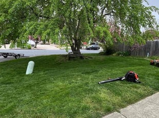 Cameron B.'s Lawn Mowing service result