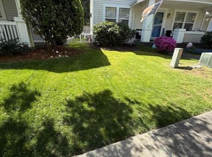 Vernessa C.'s Yard Cutting service result