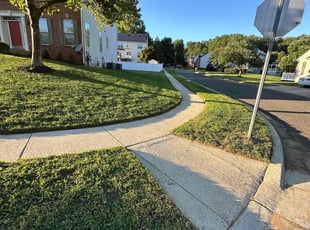 Tony A.'s Lawn Mowing Service service result