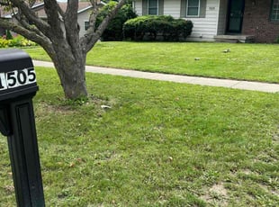 Spencer W.'s Lawn Mowing Service service result