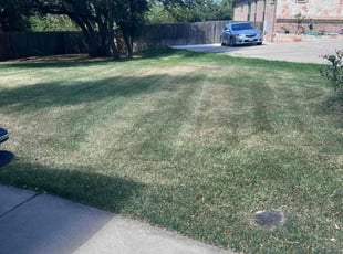 Dana C.'s Lawn Service service result