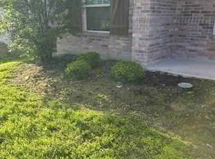 Weeding by Preston Simmons for Sierra w. in Forney, TX
