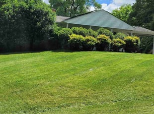 Shaad H.'s Lawn Mowing Service service result