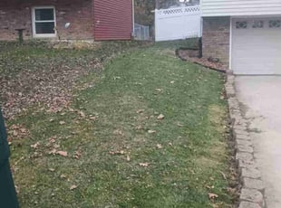 David J.'s Lawn Mowing service result
