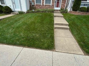 Edith C.'s Grass Cutting service result