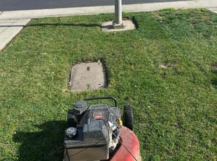 Wanda M.'s Lawn Mowing Service service result