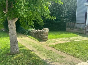 Cassandra W.'s Yard Cutting service result