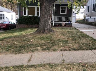 Leaf Removal by Charles Janousek for Jessann B. in Omaha, NE