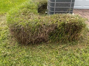 Bush Trimming by Gerard Burnett for Yvonne P. in Apopka, FL