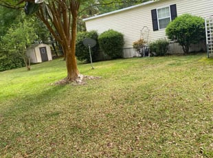 Leaf Removal by Jacob Yenca for Vickie O. in Summerville, SC