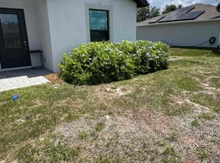 Bush Trimming by Timothy Holland for Rhonda K. in Cape Coral, FL