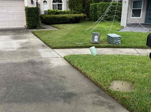 Shirley L.'s Lawn Mowing service result