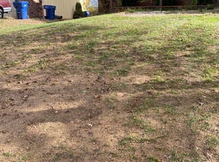 Leaf Removal by Shawn Byers for S. in Blue Springs, MO