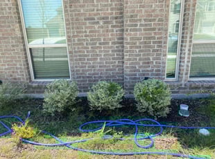 Bush Trimming by Jose Tovar for Gumeet D. in Haslet, TX