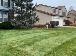 Leaf Removal by B.J. Schuetz for Harry S. in Columbus, OH