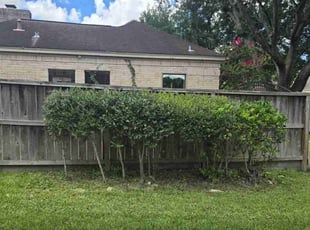 Bush Trimming by Hugo Melgar for Calvin S. in Houston, TX