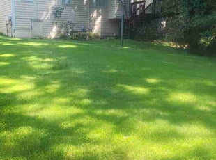 Mario G.'s Lawn Care service result