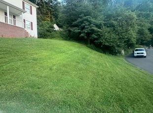 Scott S.'s Lawn Mowing Service service result