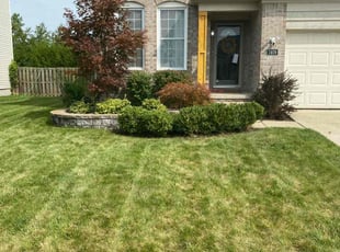Stacey Z.'s Lawn Care service result