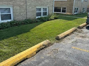 Cleanups by Jose Flores for Joey T. in Melrose Park, IL