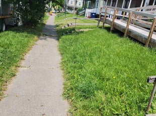 Leaf Removal by Dana Cross for Stephanie H. in Syracuse, NY