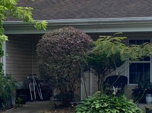Bush Trimming by Steven Moreira for Bettina W. in Virginia Beach, VA