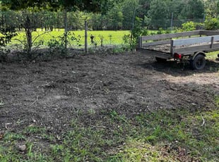 Cleanups by eddie pineda for Carrie C. in West Columbia, SC