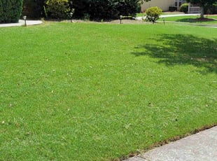 JOUNG L.'s Lawn Mowing Service service result