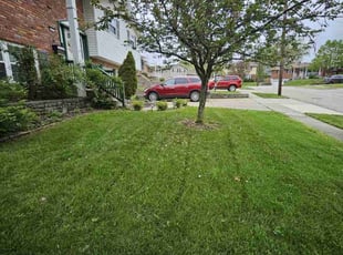 Vassel F.'s Lawn Service service result