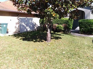 Bush Trimming by Isaac Denson for Charles H. in Jacksonville, FL