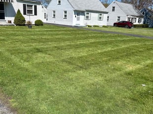 Chris C.'s Lawn Care service result