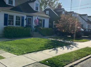 Alicia D.'s Lawn Mowing Service service result