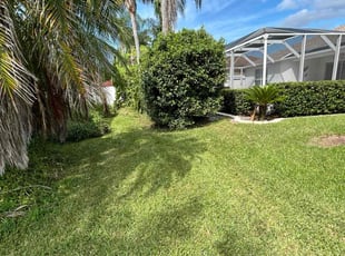 Brandon C.'s Lawn Service service result