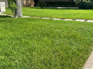 Huda M.'s Lawn Care service result