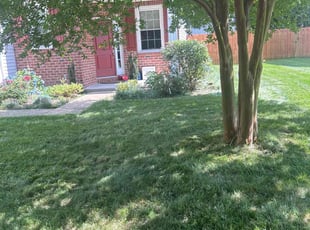 Bush Trimming by Martin Stovall for Melissa W. in Chesapeake, VA