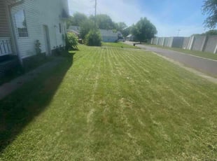 Angela D.'s Lawn Care service result