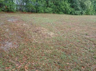 Cleanups by Sharon and Renee Simoneaux for Adalfi P. in Deltona, FL