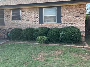 Bush Trimming by Cesar Zuniga for Adrina G. in Edmond, OK
